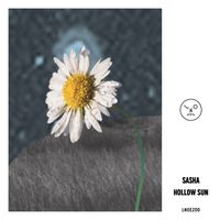 Sasha - Hollow Sun