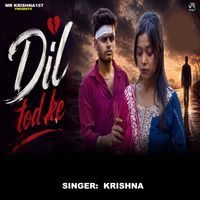 Krishna - Dil Tod Ke