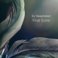 Dj Sleeptalker - Final score