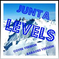 Junta - Levels