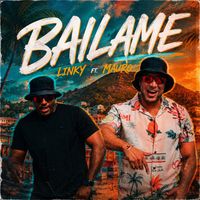 LINKY - Bailame