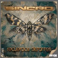 Sincro - recuerdos distantes