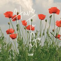 DAM - Have to Go