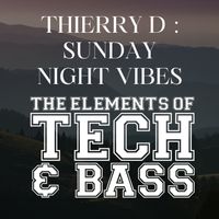 Thierry D - SUNDAY NIGHT VIBES
