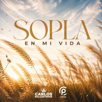 Carlos Ballesteros - Sopla en mi vida