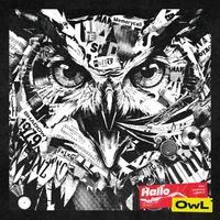 OwL - Hallo