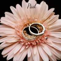 PAD - gerbera daisy