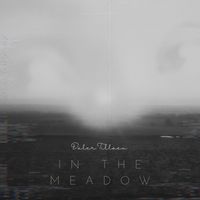 Daler Tillaev - In the meadow