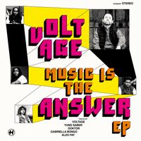 Voltage - Music Is The Answer