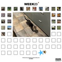 KAYBEE - WEEK23