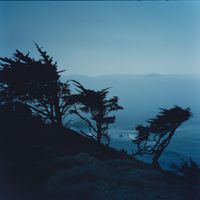 nightfall - The Sea Ranch