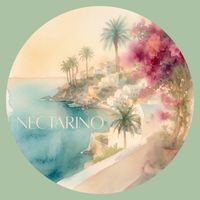 Magnetic West Music - Nectarino