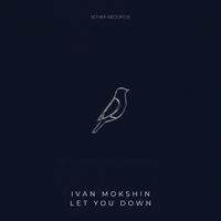 Ivan Mokshin - Let You Down