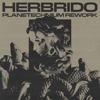 Herbrido - Planetechnium (Rework)