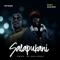 Spider - Salapukani
