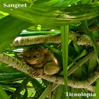 Sangeet - Licoolopia (Original Mix)