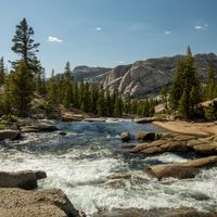 Barry Martin - Tuolumne River