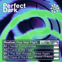 Realize - Five Year Flight