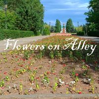 Domitori Taranofu - Flowers on the Alley