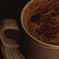 evergreen - Coffee Aesthetic