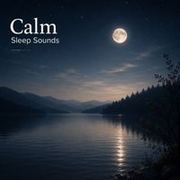 Nox Z & Wolfgang Amadeus Mozart & Ludwig van Beethoven & Johann Sebastian Bach - Calm Sleep Sounds