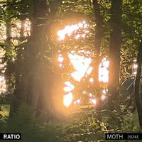 Ratio - 2024E (Moth)