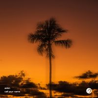 aiden - Call Your Name