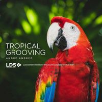 André Andreo - Tropical Grooving