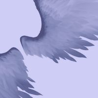 SaKi - CHiMERA