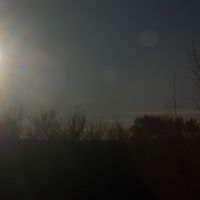 forlorn - morning sun