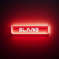 DK - Slang