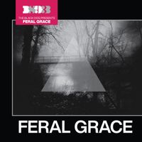 The Black Dog - Feral Grace