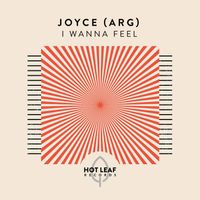 Joyce (ARG) - I Wanna Feel (Extended Mix)