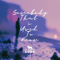 Loba - Somebody That I Used To Know