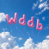 EDWIN - Wddb