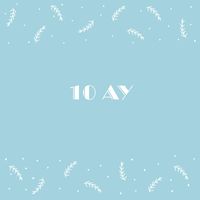 Kairo - 10 Ay