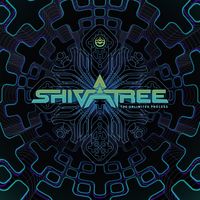 Shivatree - The Unlimited Process