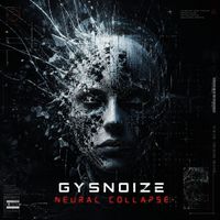 GYSNOIZE - Neural Collapse