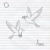 Maw - Aves