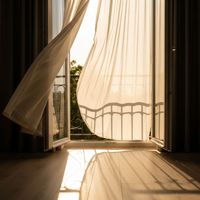 Silence Bleu - Renoncule Jaune