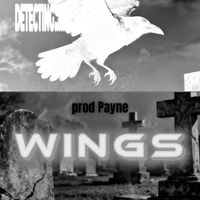 Payne - WINGS
