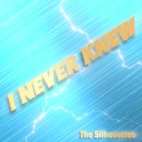 The Silhouettes - I Never Knew