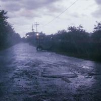 Watson - 岭南雨季