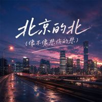 Leon - 北京的北 (像不像悲伤的悲)