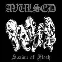 Avulsed - Spawn of Flesh
