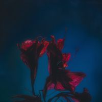 Indigo - อยากบอกรัก (Unsaid)