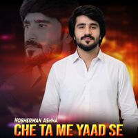 Nosherwan Ashna - Che Ta Me Yaad Se