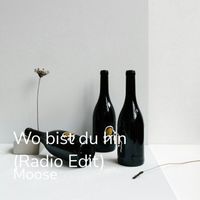 Moose - Wo bist du hin (Radio Edit)