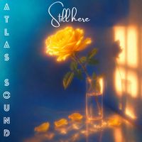 ATLAS SOUND - Still Here