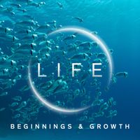 John Rowcroft - Life - Beginnings and Growth